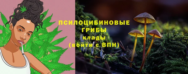 бошки Беломорск